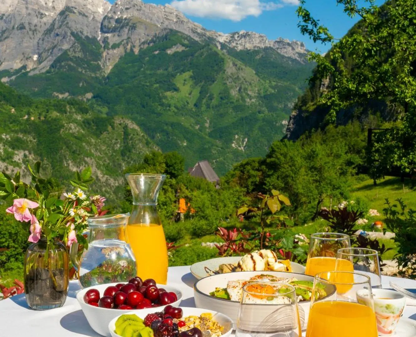 Vidis Chalet Boutique Hotel Theth