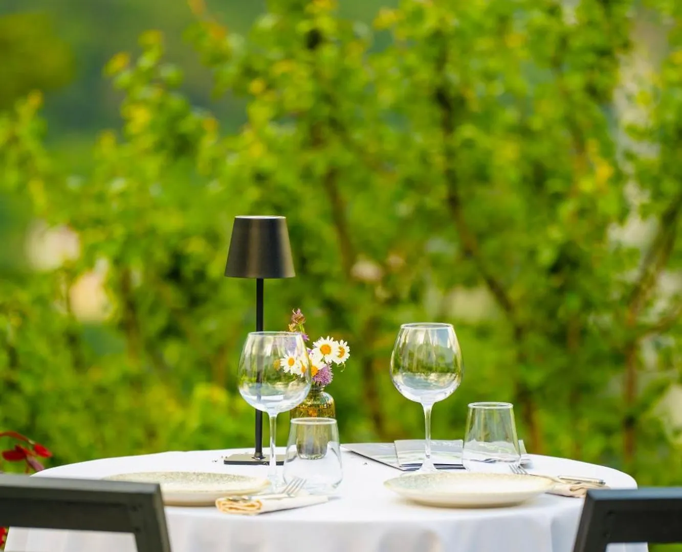 Vidis Chalet Boutique Hotel Theth
